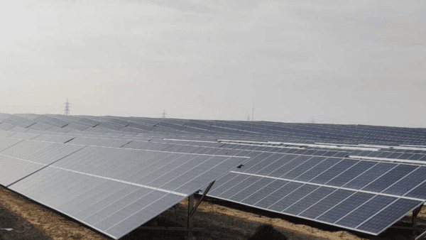 Bhadla Solar - Image 3