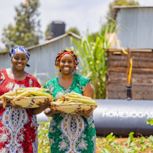Homebiogas