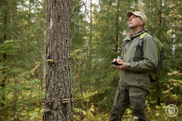 Boreal Mix - Image 5