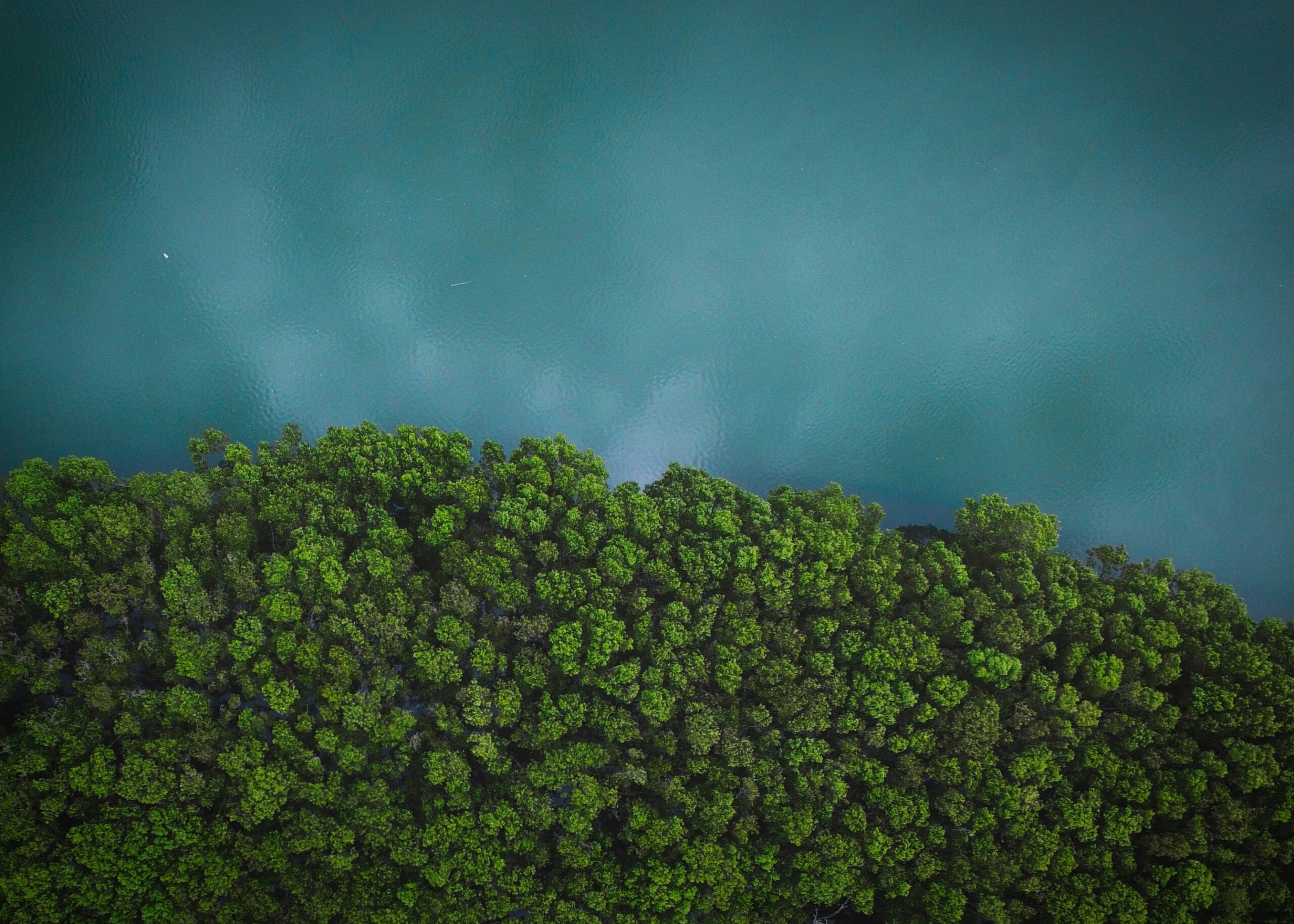 Climate financing